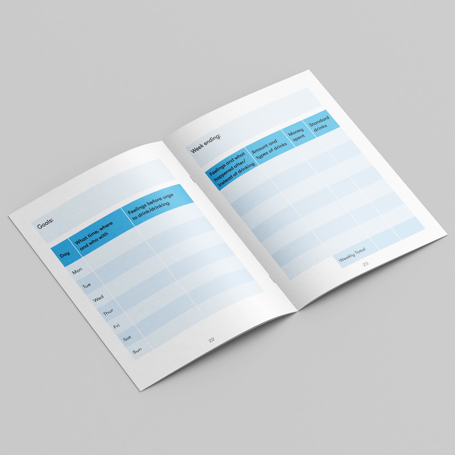 Alcohol diary (bundle of 25)