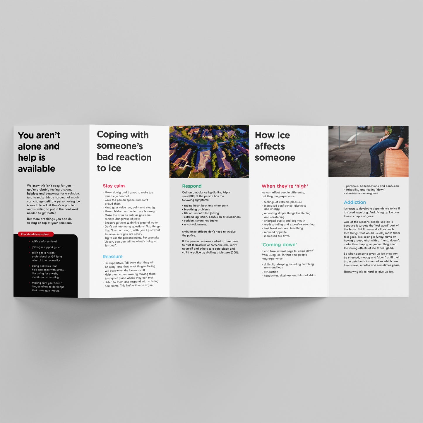 Family Support Ice Brochure (bundle of 25)