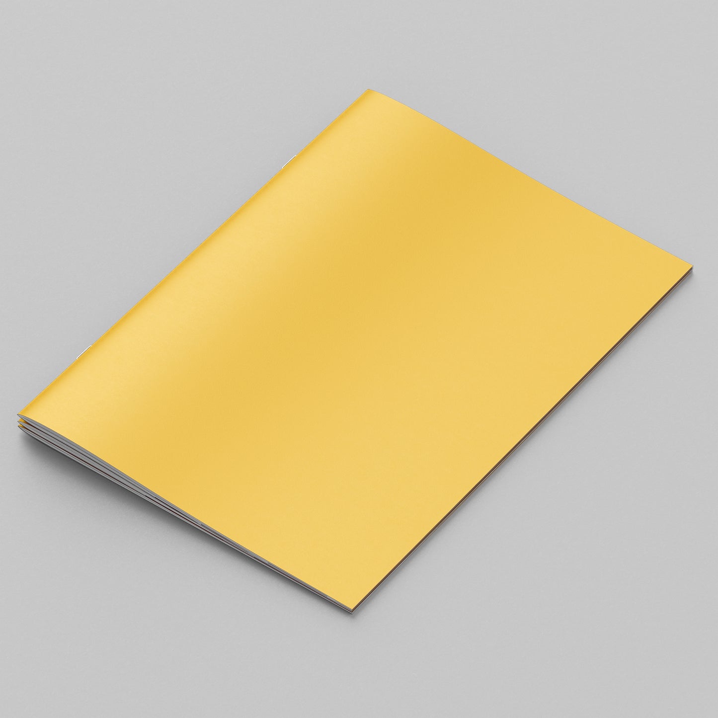 Alcohol diary (bundle of 25)