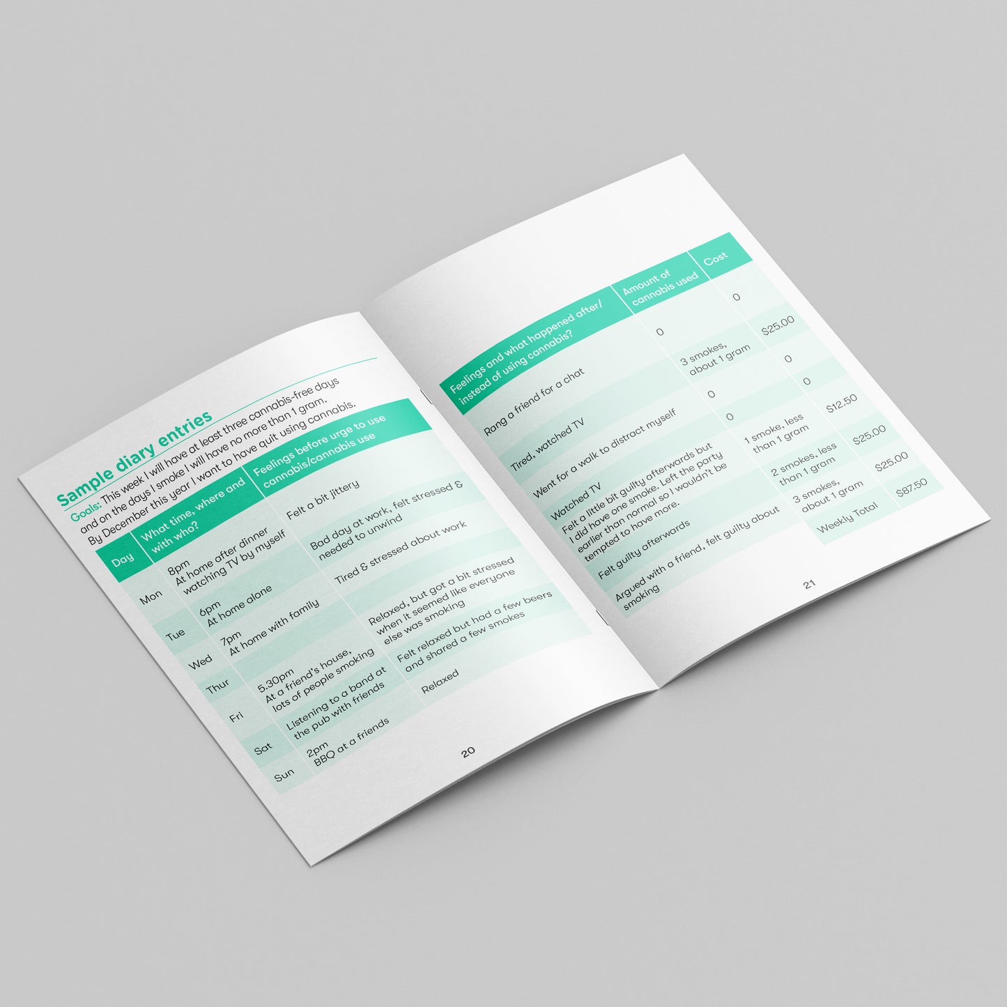 Cannabis diary (bundle of 25)