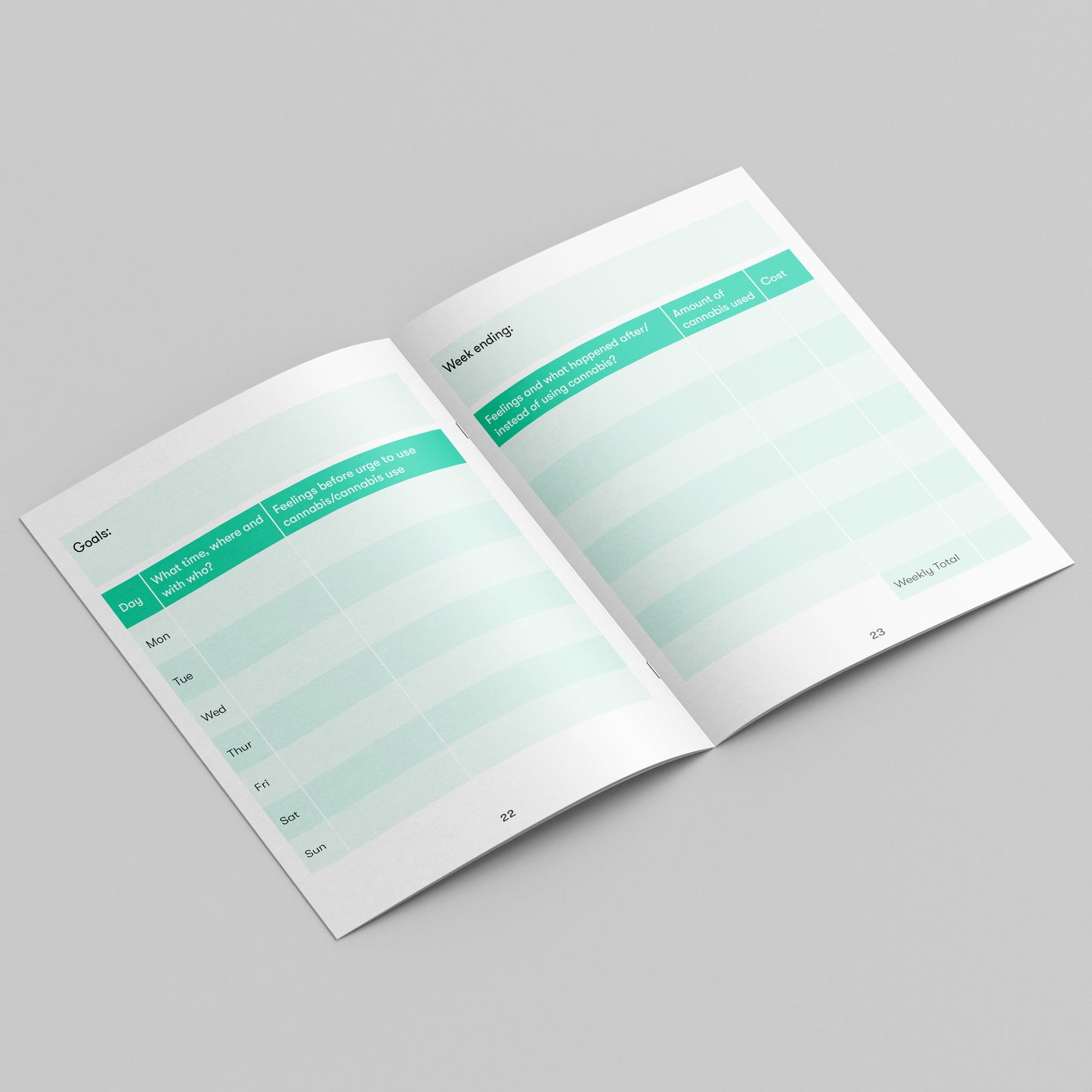 Cannabis diary (bundle of 25)