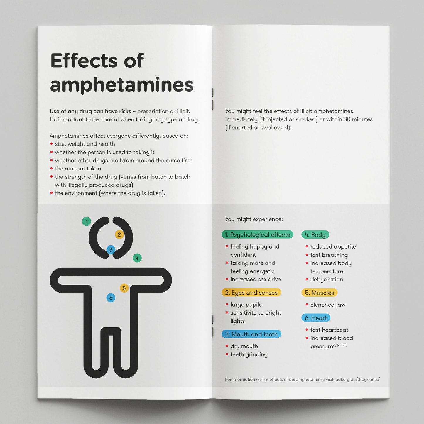 HDAY: Amphetamines (bundle of 50)