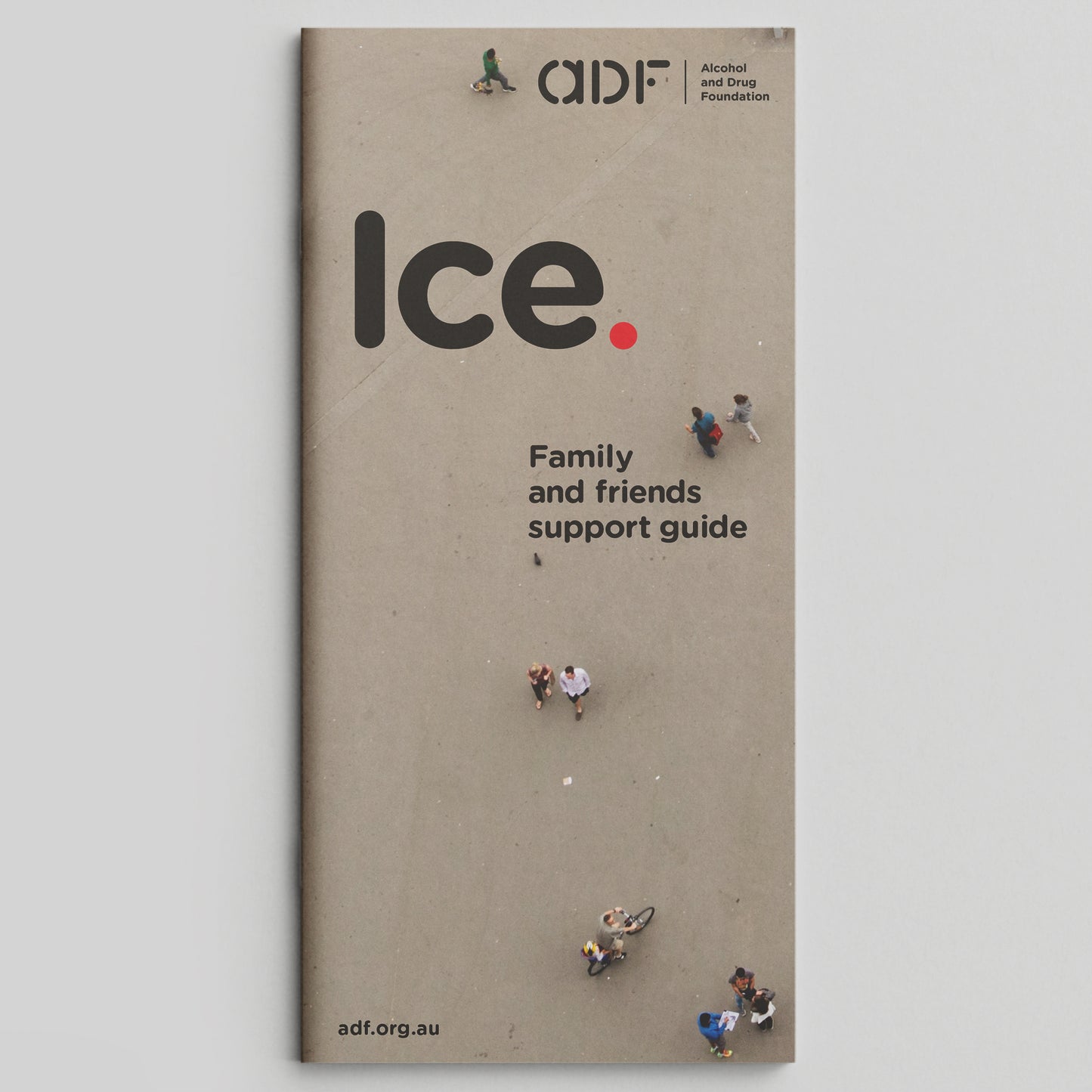 Family Support Ice Brochure (bundle of 25)