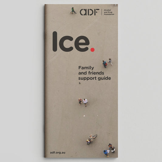 Family Support Ice Brochure (bundle of 25)