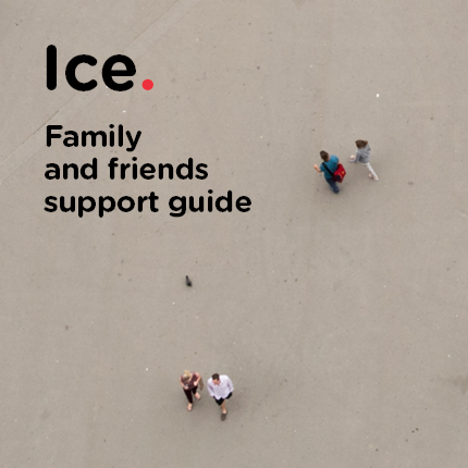 Family Support Ice Brochure (bundle of 25)